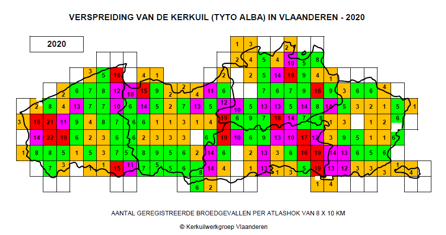 KerkuilVlaanderen2020