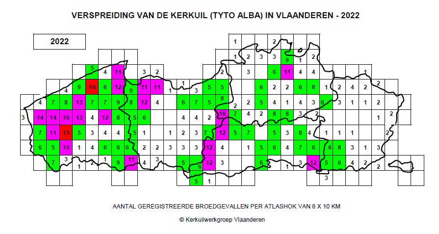KerkuilVlaanderen2020